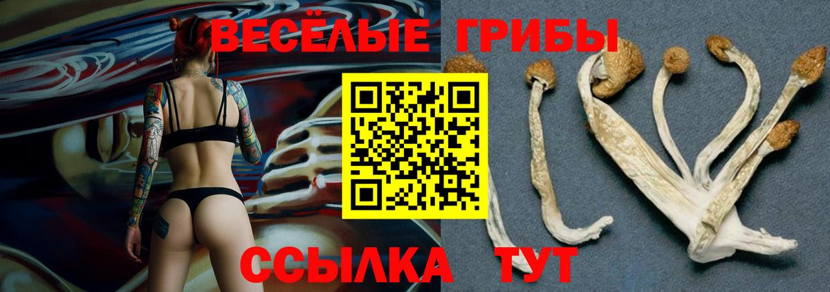 МЕФ  Гашиш  Конопля  Метамфетамин  Королёв  Метадон  Меф   ГАШИШ  Экстази  Вход с VPN  КОКАИН 