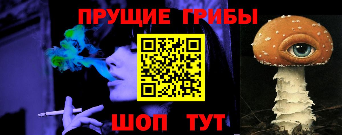 Королёв  Псилоцибиновые грибы Magic Shrooms  Вход с VPN  Псилоцибиновые грибы мицелий 